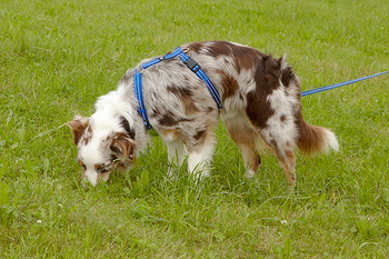 bild_1948.jpg