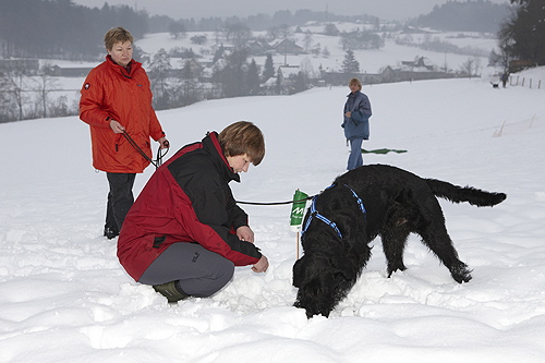 bild_587.jpg