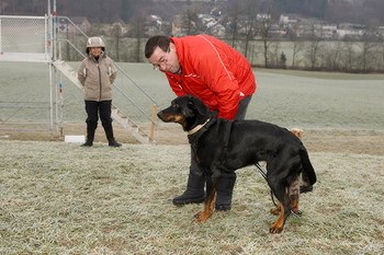 bild_1111.jpg