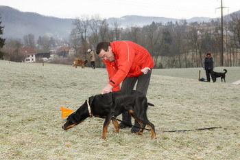 bild_1112.jpg