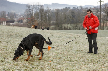 bild_1113.jpg