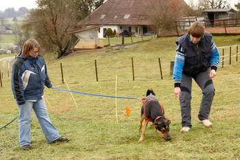 bild_1185.jpg