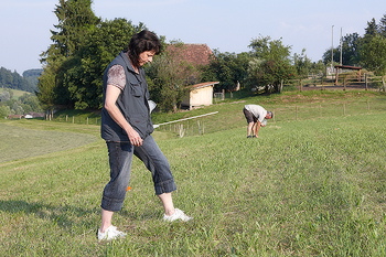 bild_098.jpg