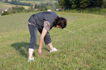 bild_099.jpg