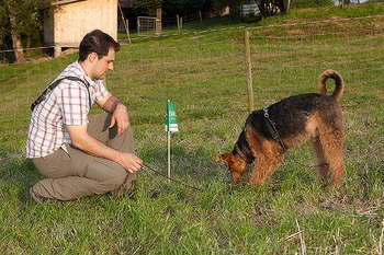 bild_123.jpg