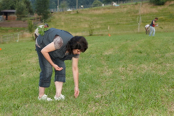 bild_137.jpg