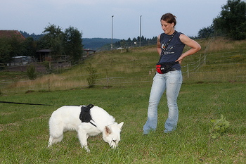 bild_149.jpg