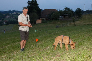 bild_151.jpg