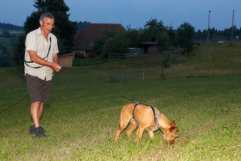 bild_152.jpg