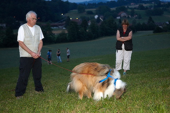 bild_160.jpg