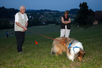 bild_162.jpg