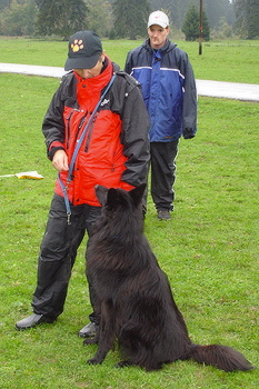 dsc00463.jpg