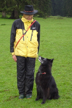 dsc00483.jpg